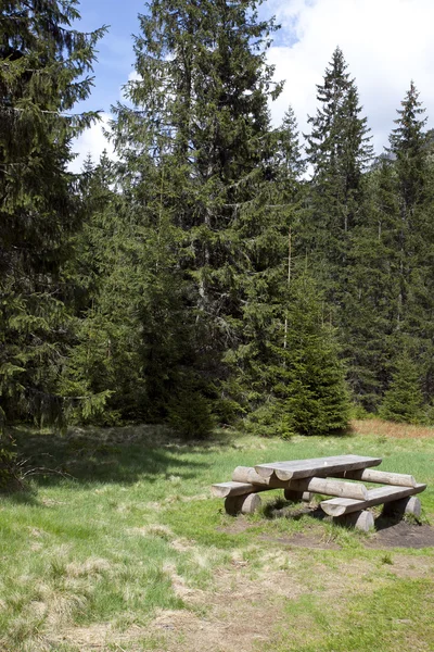 Parque nacional de Polonia con bosque —  Fotos de Stock