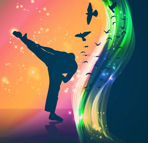 Karate silhouette on abstract background — Stock Photo, Image