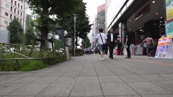 Les gens marchent dans la rue à Tokyo — Video