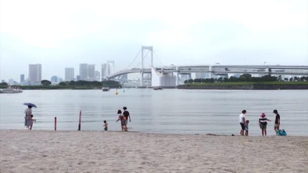 日本人在市海滩上行走 — 图库视频影像