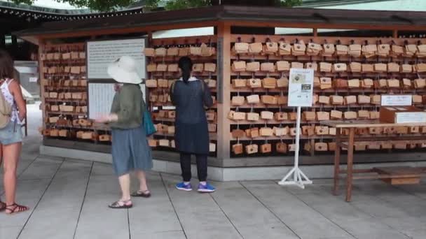 Tokyo 'daki Yoyogi Parkı — Stok video