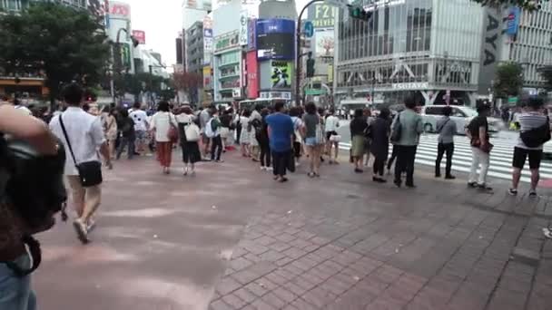 도쿄의 시부야 교차로를 건너는 사람들 — 비디오