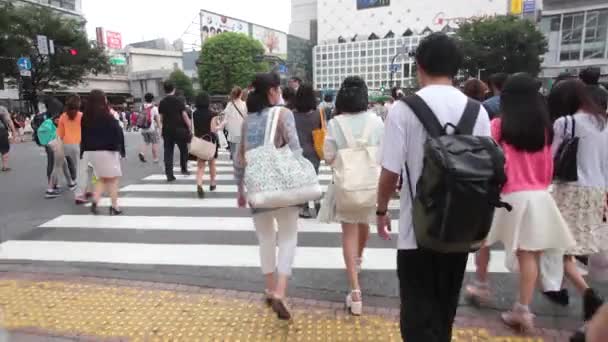 Pessoas atravessam o cruzamento Shibuya em Tóquio — Vídeo de Stock