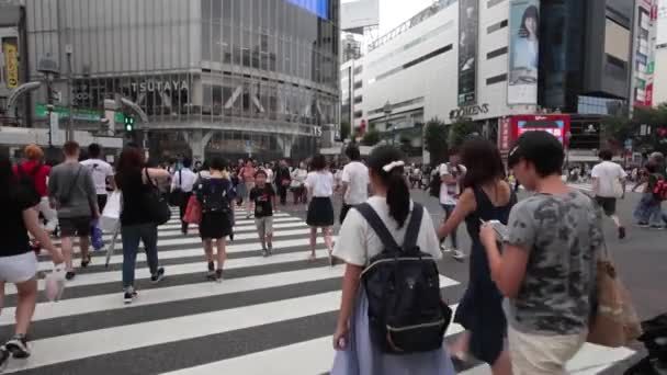 La gente cruza la intersección Shibuya en Tokio — Vídeo de stock