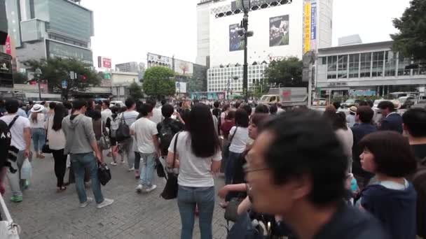 도쿄의 시부야 교차로를 건너는 사람들 — 비디오