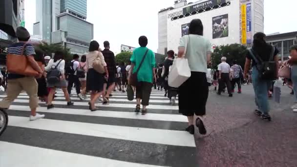 Pessoas atravessam o cruzamento Shibuya em Tóquio — Vídeo de Stock