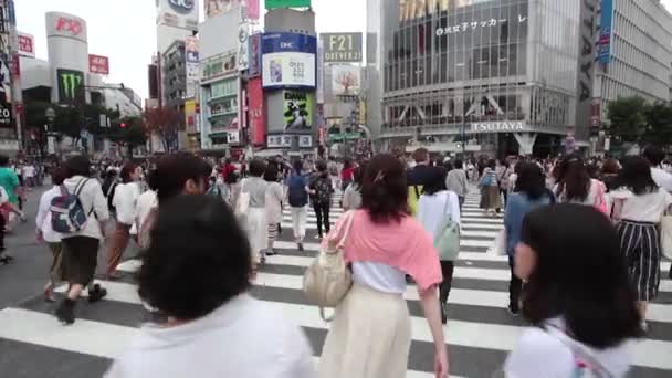 Les gens traversent l'intersection Shibuya à Tokyo — Video
