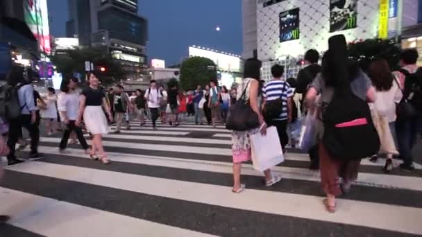 Анонімні натовпи на Shibuya Discrit в Токіо — стокове відео