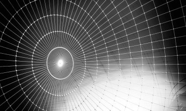 Soyut dijital teknoloji arkaplanının 3B görüntülenmesi 