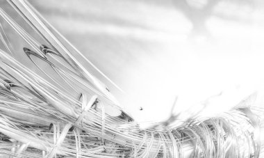 Soyut dijital teknoloji arkaplanının 3B görüntülenmesi 