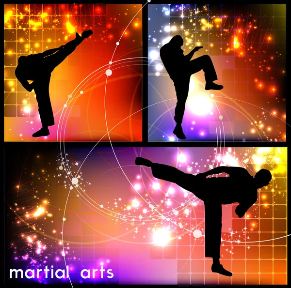 Karate illustratie — Stockvector
