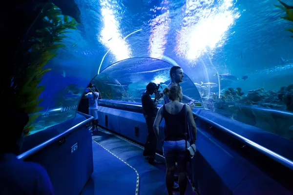 Grupo de turistas que visitan acuario — Foto de Stock