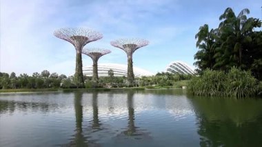 Supertree Grove Singapur