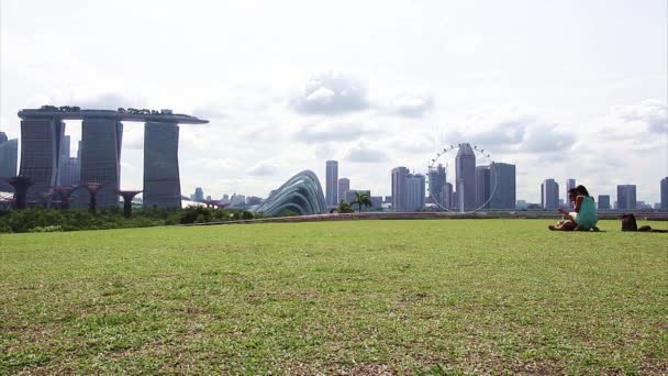 İnsanlara Singapur Marina Barrage — Stok video