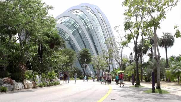 Supertree Grove en Singapur — Vídeo de stock