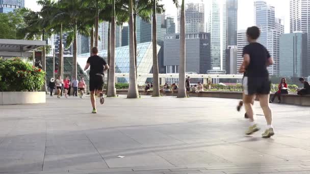 People on Marina Bay waterfront — Stock Video