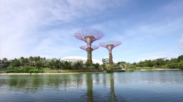 Supertree Grove en Singapur — Vídeo de stock