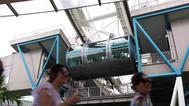 Туристы с сингапурским флаером — стоковое видео