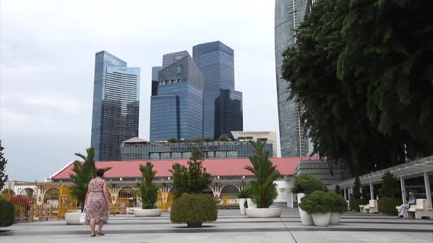 Singapore skyline van de stad — Stockvideo