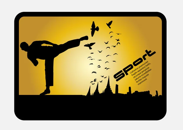 Karate illustratie — Stockvector