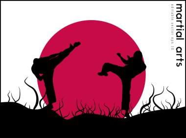Karate savaşçıları