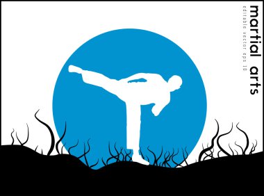 Karate avcı