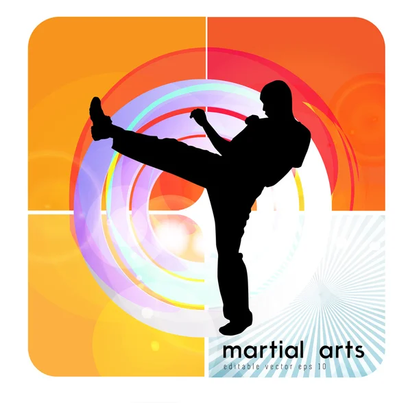 Ilustración de karate — Archivo Imágenes Vectoriales