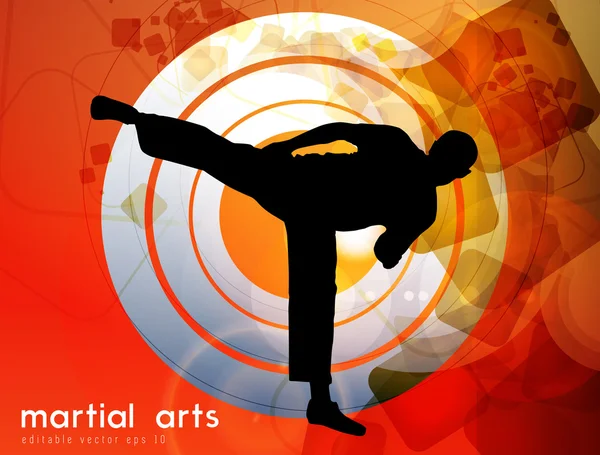 Karate illustratie — Stockvector