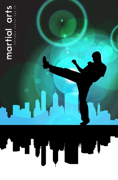 Karate ilustrace — Stockový vektor