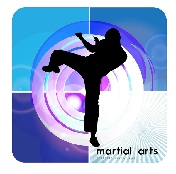 Ilustración de karate — Archivo Imágenes Vectoriales