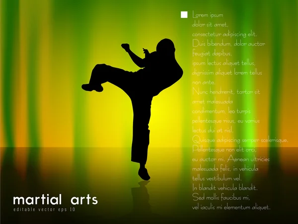 Ilustración de karate — Vector de stock
