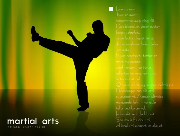 Karate illustratie — Stockvector
