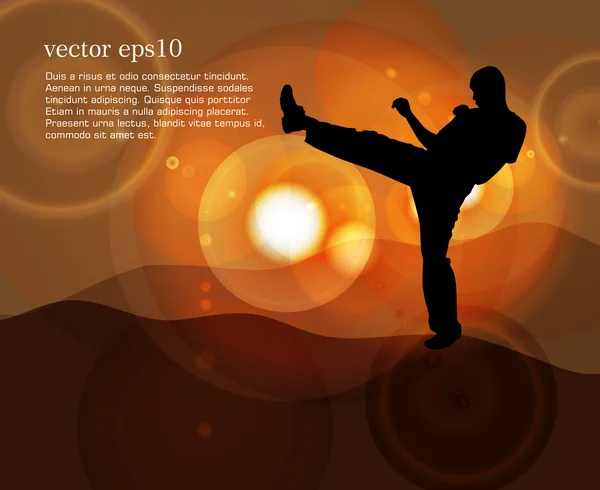 Karate illustartion — Stockvector