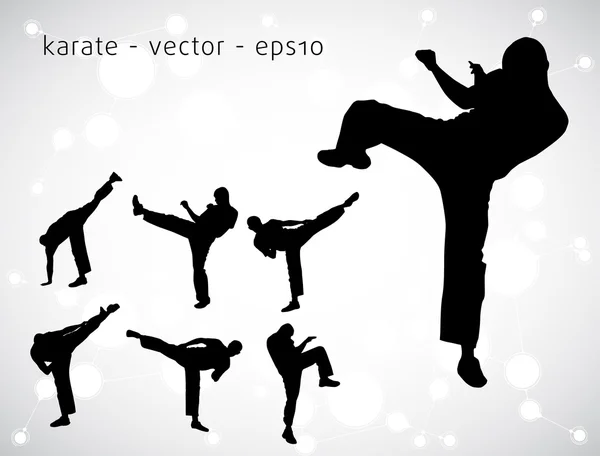 Ilustración de karate — Vector de stock