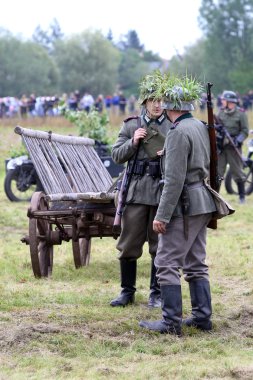 Polonya askeri yeniden yapılanma