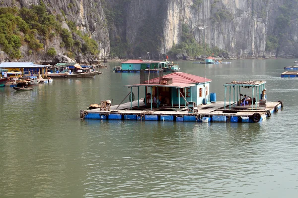 Ha long bay w Wietnamie — Zdjęcie stockowe