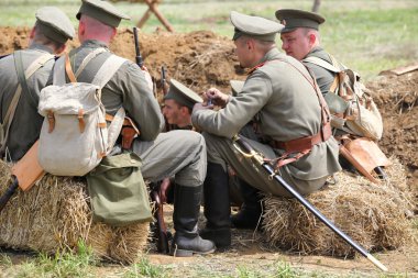 Polonya askeri yeniden yapılanma.