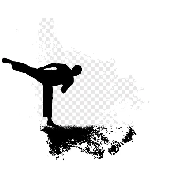 Karate illustration — Stockfoto