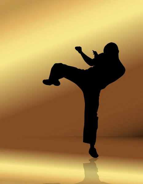 Martial arts illustration — Stock Photo, Image