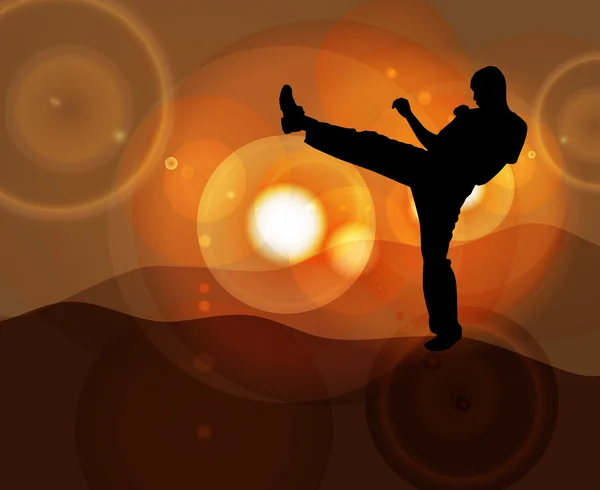 Karate sport illustration — Stock Photo, Image