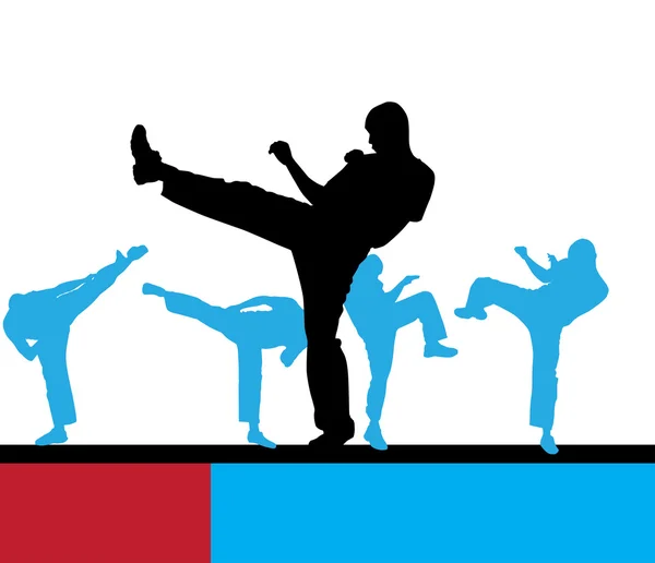 Karate sport illustration — Stock Photo, Image