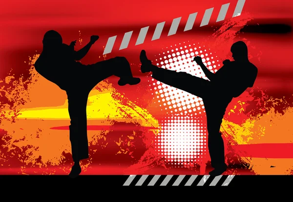 Karate sport illustration — Stock Photo, Image