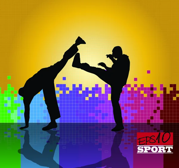 Karate deporte ilustración — Vector de stock