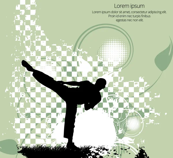 Karate sport illustrazione — Vettoriale Stock