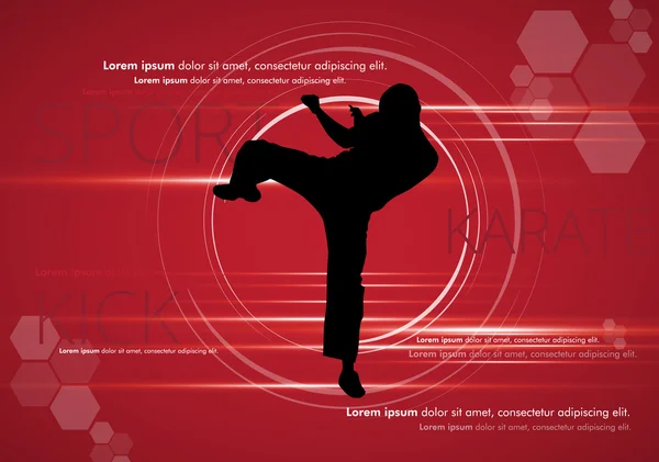 Esporte Karate ilustração — Vetor de Stock