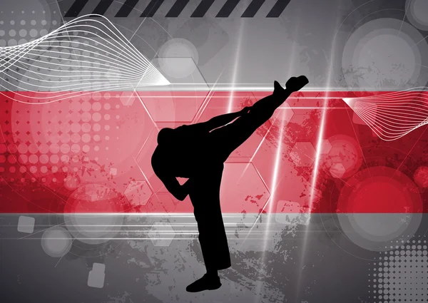 Karate edzés illusztráció — Stock Fotó