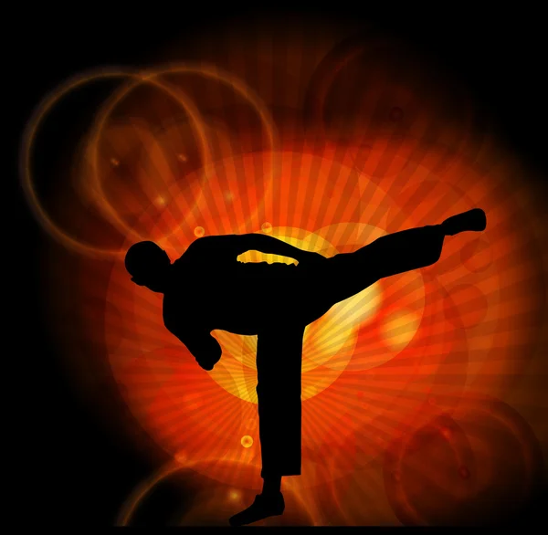 Karate eğitim illüstrasyon — Stok fotoğraf