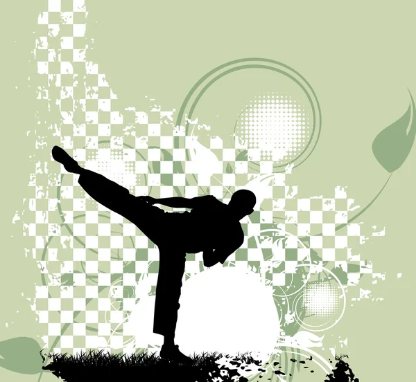 Иллюстрация обучения карате — стоковое фото