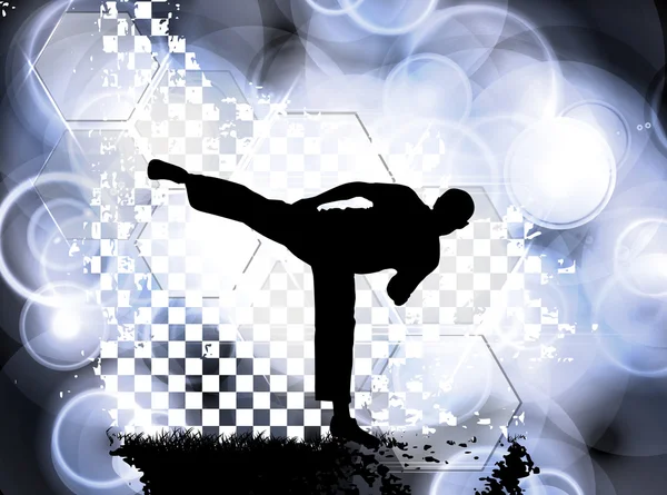 Sport Karate Illustration — Stockfoto