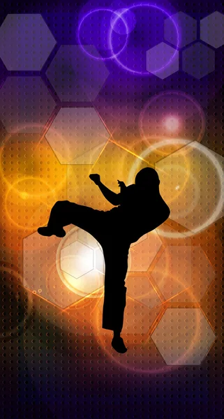 Martial arts karate illustration — Stock Photo, Image
